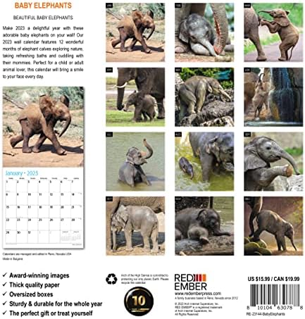 Kırmızı KÖZ Bebek Filler 2023 Asılabilir Aylık Duvar Takvimi / 12 x 24 Açık / Kalın ve Sağlam Kağıt / Hediye Edilebilir