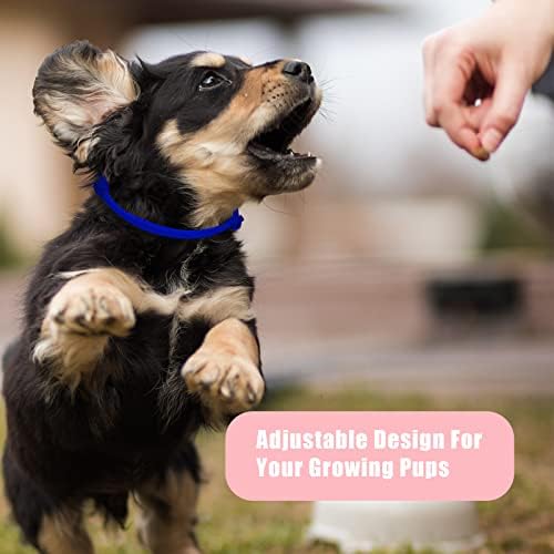 16 adet Köpek KİMLİĞİ Yaka, Yumuşak Polyester Ayarlanabilir Whelping Yaka Köpek Kimlik Yaka Yavru Yaka Yenidoğan