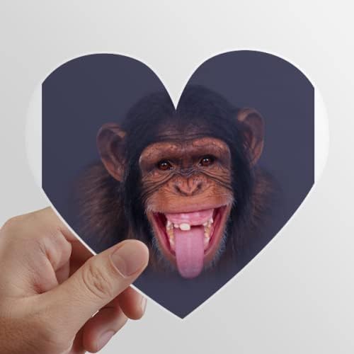 Orangutanlar Gülmek İnsan Saçı Kalp vinil yapışkan Bisiklet Şişe Çıkartması
