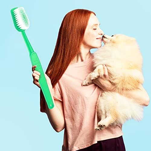 Jexıne 6 Parça Dev Diş Fırçası Büyük Diş Fırçaları Prop Sahte Boy Diş Fırçası Yenilik Büyük Diş Fırçası Oyuncak Komedi