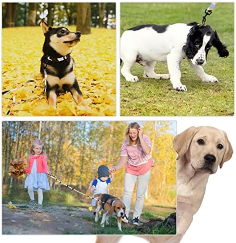 PADQ köpek tasması ve Tasma Seti, Yumuşak Rahat Naylon Köpek Yavrusu, Küçük Orta Köpekler için Eşleşen Parlak Renkler